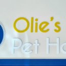 올리스24 명지점 이미지