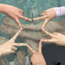 광희동물병원 | 2025가 끝나기 전에 몰아쓰는 일상기록 part.1