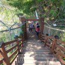 5일장길 이미지