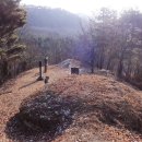 이국주 선생 묘 Daum카페