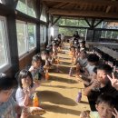 7/31 완주야놀자 1박2일 캠프 2일차+책 읽어주는 문화나눔단+푸드뱅크 후원 이미지