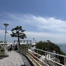 위드미 양산소주점 | 부산 영도 목장원 축의대 업체 후기 (오필로스 가든)｜ 매리위드미 (26.05.30)
