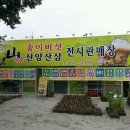 심마니 산약초 Daum카페