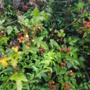 월문4리 이미지