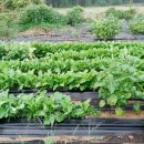 무열농장 이미지