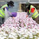 백양산 양묘장 이미지