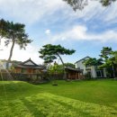 옛날에금잔디 이미지