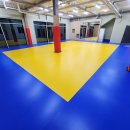 용인대체육관 이미지