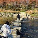 쉼터 | 가을 감성 충만! 양재천수변문화쉼터 산책 후기