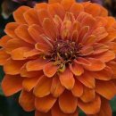 [시민공감교육] 청각 장애의 이해 및 체험 이미지