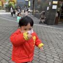 11월11일(화요일) 소방대피훈련 이미지