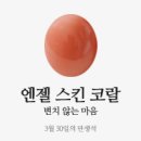 엔젤스킨