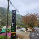 성주로50 캠프앤펜션 이미지