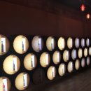 터널게이트(가) 이미지