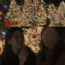 모에누베이커리 이미지