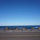 평대전복 이미지