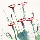 신수호 카카오 검색결과