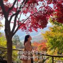 화담숲 예약 시간 모노레일 없이 후기 단풍 시기 입장료 꿀팁