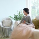 테힐라한복대여