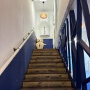 황금돈6900돈까스 | [대전 은행동 맛집] 대전여행코스로 빠지면 안되는 돈까스 맛집 <별리달리돈까스 은행점> 솔직후기