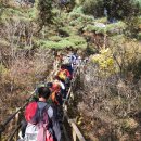 인제군자연산버섯 협동조합 이미지