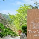 계곡품은펜션 이미지