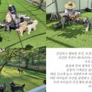 탑클래스 퍼피 이미지