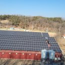 소나무 가축인공수정소 이미지