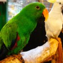 작은 동물원 이미지