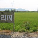 맘빌리지