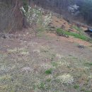 조견사우 이미지