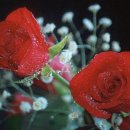 정인체육관 이미지