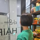 기업은행 심곡동 앞 횡단보도 | 반응 좋은 단발머리 커트 뿌리 살리기 우장산역 미장 다온헤어 또 다녀옴
