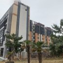 표선리-32 이미지