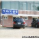 망상해수욕장 도라지민박 ★추천★ 이미지