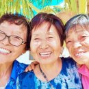 필자농장 이미지