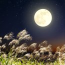 높고 맑은 소리, 소금(1) - 민요편 | 정월대보름 2026 | 정월대보름 음식 부럼 오곡밥·묵은나물 레시피 총정리