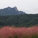 속초나드리 이미지