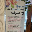 슬로우버드 | 대구 이색카페 가볼만한곳 아이와 함께 가기 좋은 앵무새 카페 '버드소리' 솔직 후기 (주차, 가격, 꿀팁)