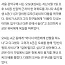 40대 찌른 11세 이미지