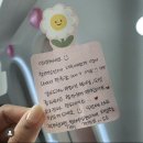 뷰티아일랜드삼화 | [뷰티아일랜드] 브라운&스프레이태닝 병행 후기