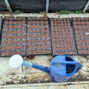 영림농장 이미지