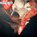 대항병원 이미지