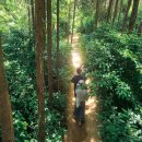 시원농원 이미지