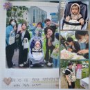 완주군 정신건강복지센터 | 2025.10.18.토 (376일차) 완주군 &#34; 정신건강의 날 &#34; 행사 with 청주강아지들