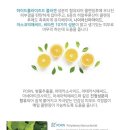 제이케이통신 이미지