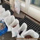 부영상회 이미지