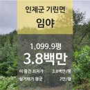 [강원 인제군 기린면 "임야" 법원 경매] 최저가 3,818,000원 (유찰 1회)
