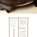 정숙성 세종점 네이버블로그