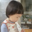 강나루농원 | 몸에 좋은 사과즙 정선사과 강나루농원 커머스팜 솔직후기:))